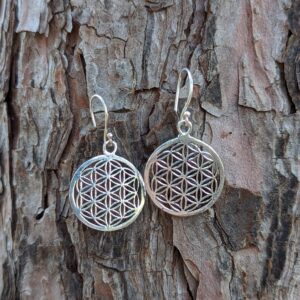 EARRINGS 113